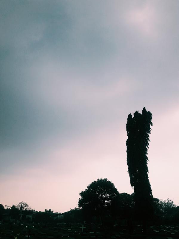 samsung SM-A710F Processed with VSCO with c1 preset